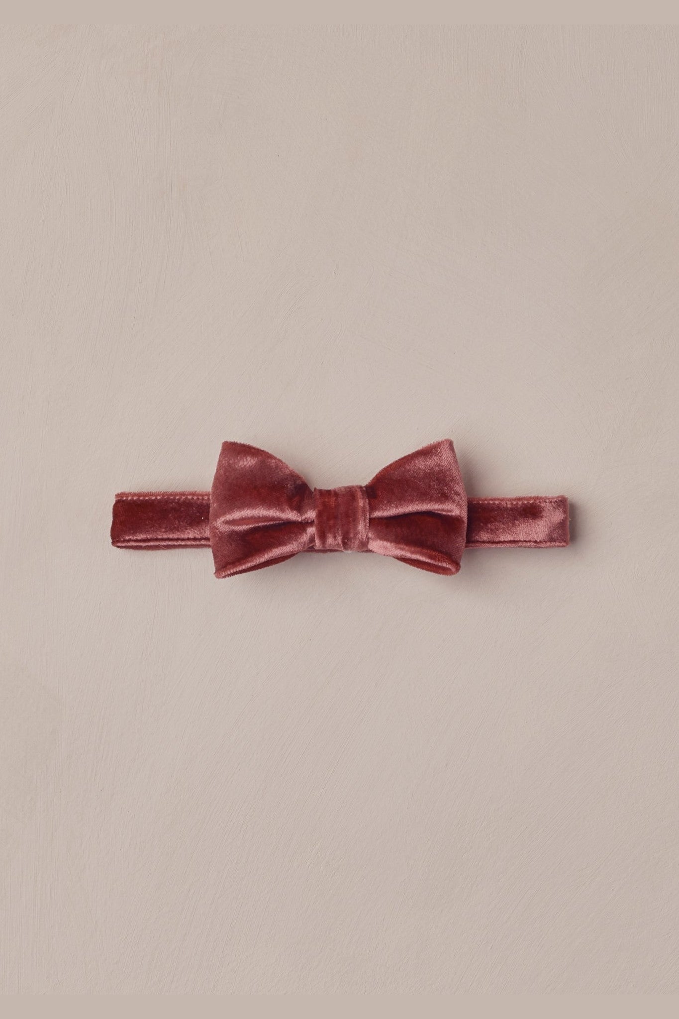 Noralee Bow Tie_ NLA009