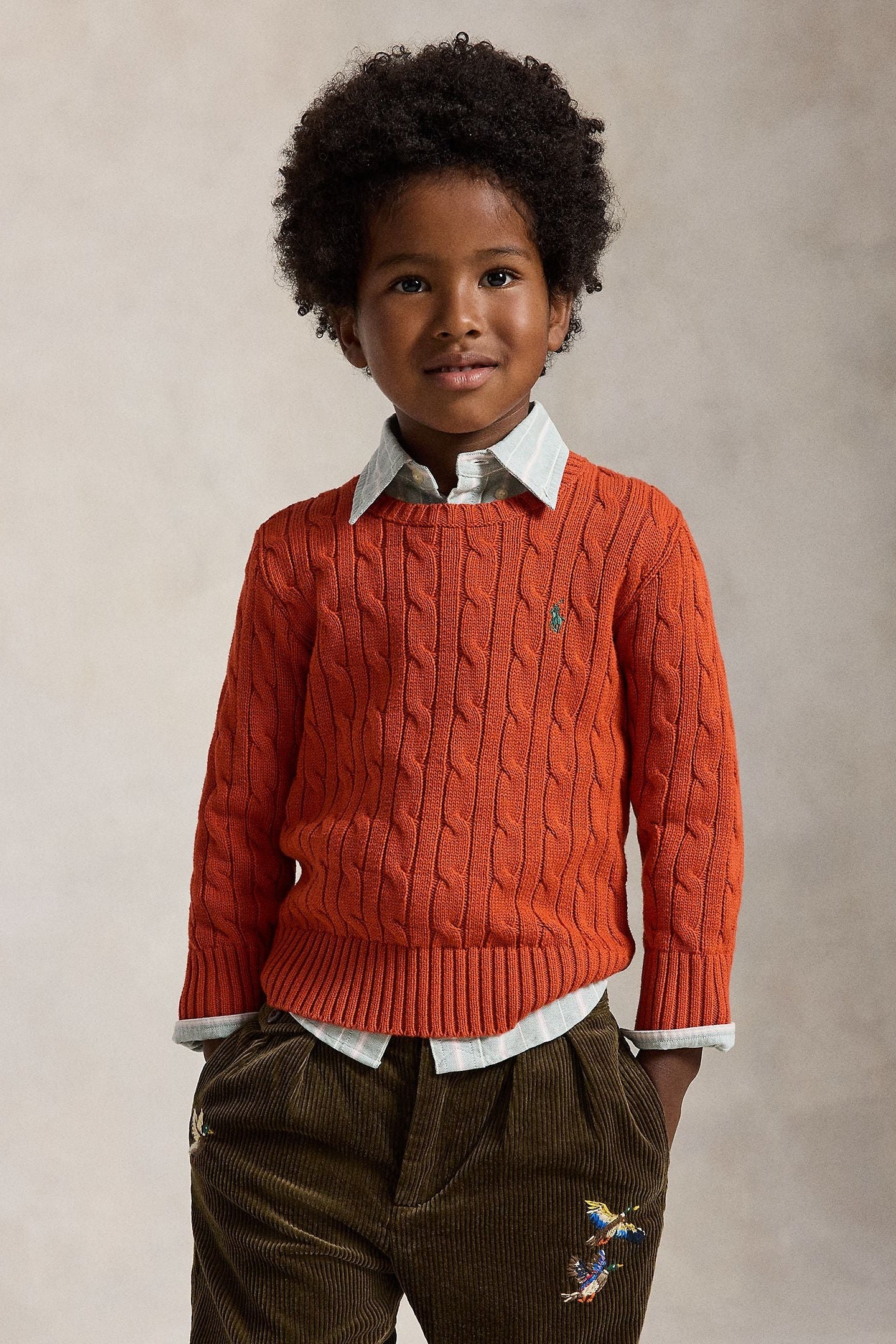 Polo Ralph Lauren Little Boys Combed Cotton Cable Knit Sweater