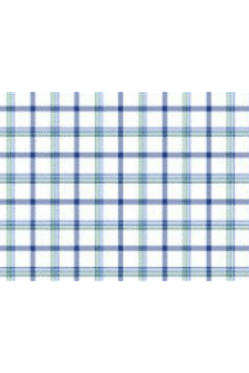 Tallia Boys White/Green Plaid Dress Shirt - NorthBoys