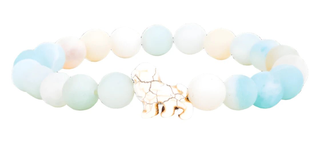 Fahlo The Excursion Bracelet - Track a Lion - NorthBoys