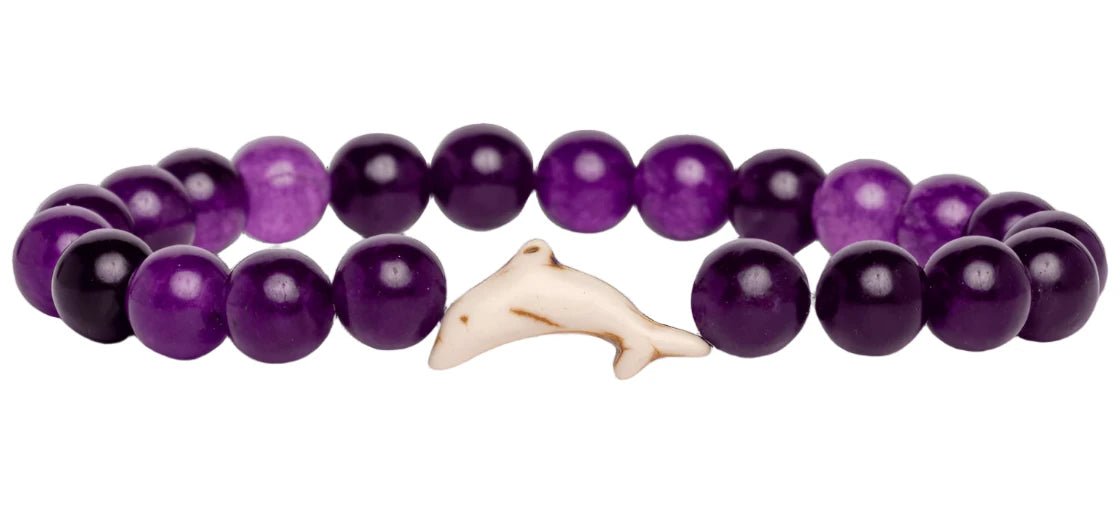 Fahlo The Odyssey Bracelet - Track a Dolphin - NorthBoys