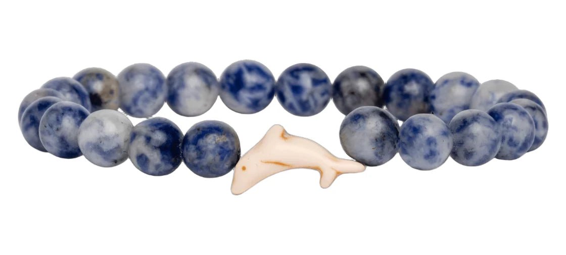 Fahlo The Odyssey Bracelet - Track a Dolphin - NorthBoys