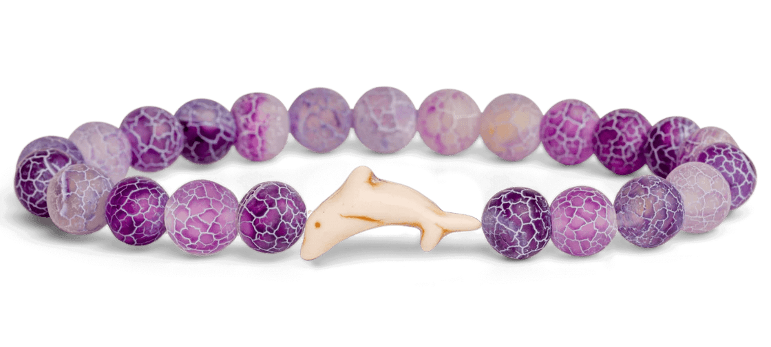 Fahlo The Odyssey Bracelet - Track a Dolphin - NorthBoys