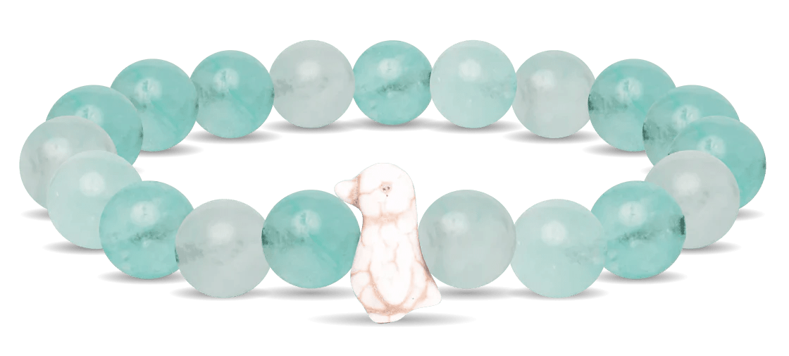 Fahlo The Passage Bracelet - Track a Penguin - NorthBoys