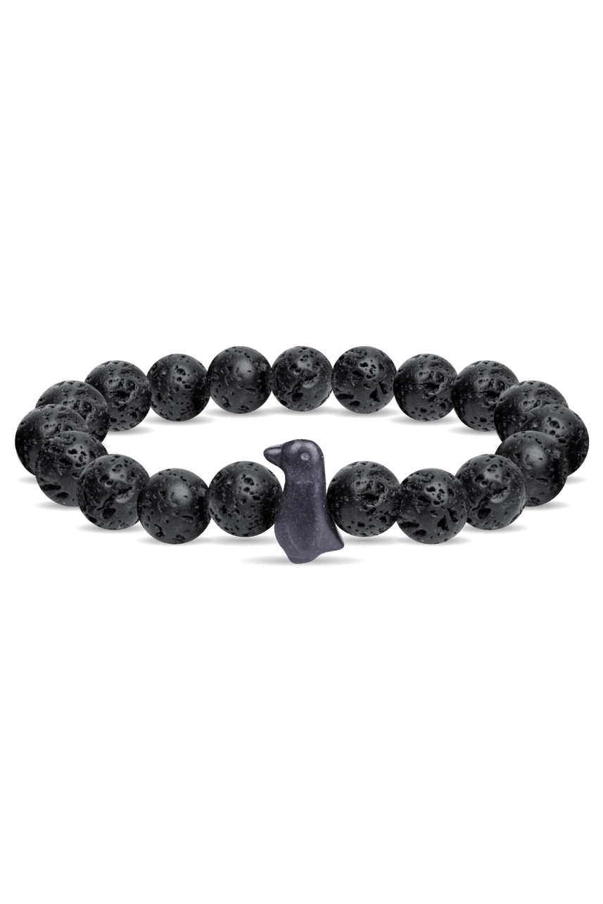 Fahlo The Passage Bracelet - Track a Penguin - NorthBoys