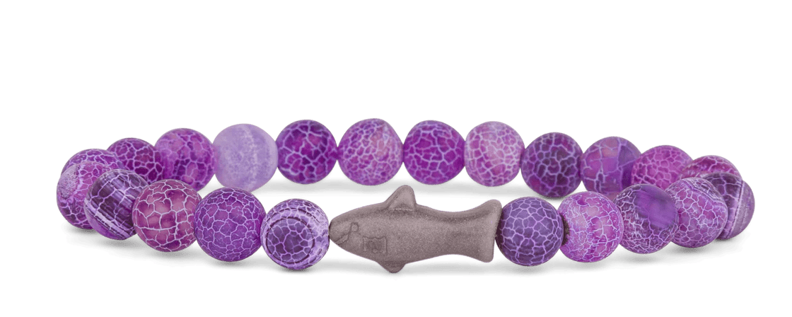 Fahlo The Voyage Bracelet - Track a Shark - NorthBoys