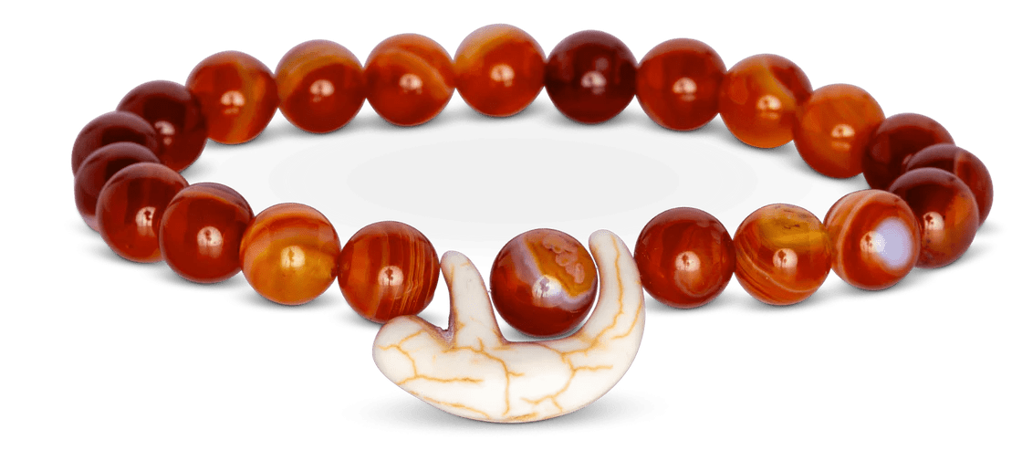 Fahlo The Wander Bracelet - Track a Sloth - NorthBoys