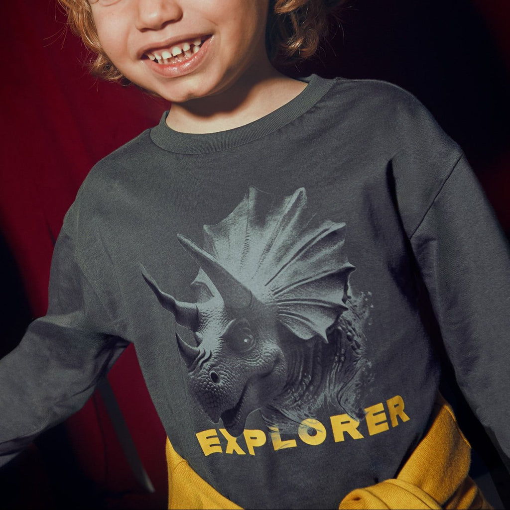 Mayoral Mini Boys Long Sleeve T-Shirt_ 4090 - NorthBoys