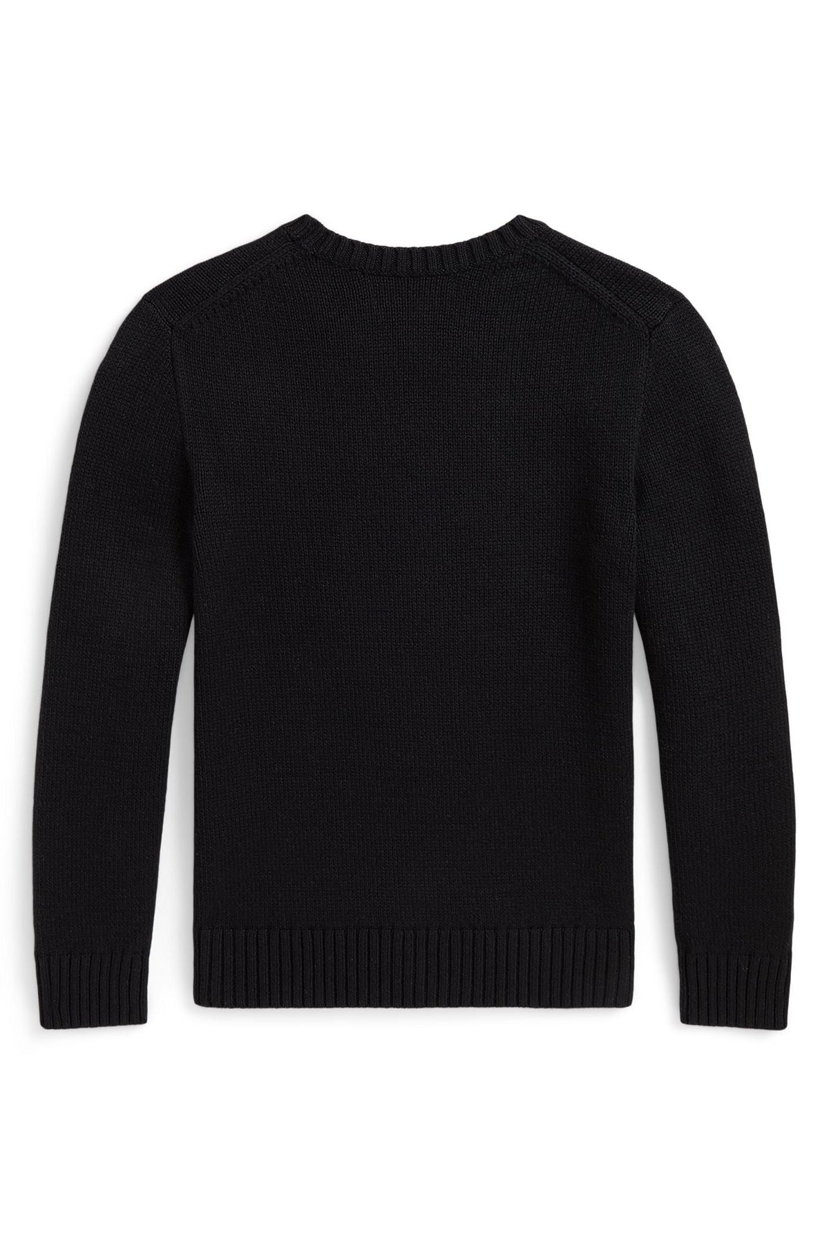 Polo Ralph Lauren Boys Polo Bear Sweater