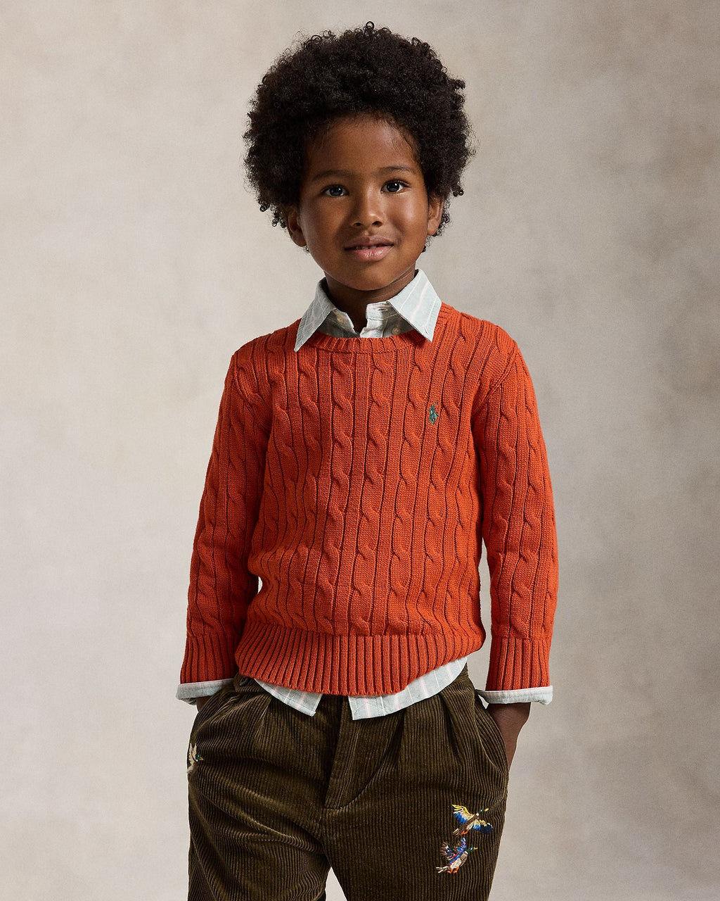 Polo Ralph Lauren Little Boys Combed Cotton Cable Knit Sweater
