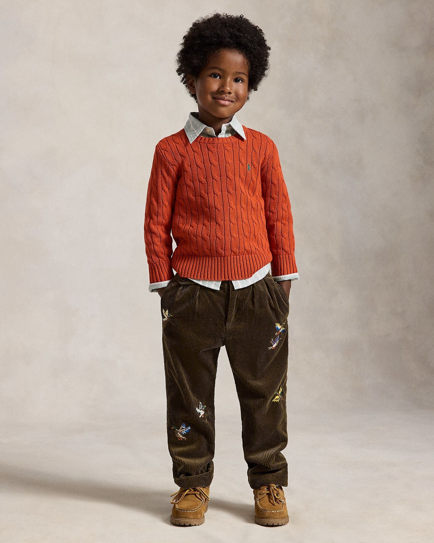 Polo Ralph Lauren Little Boys Combed Cotton Cable Knit Sweater