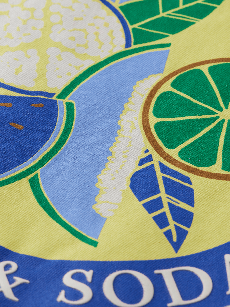 Scotch & Soda Boys T-Shirt_Off White 170559 - 0001 - NorthBoys