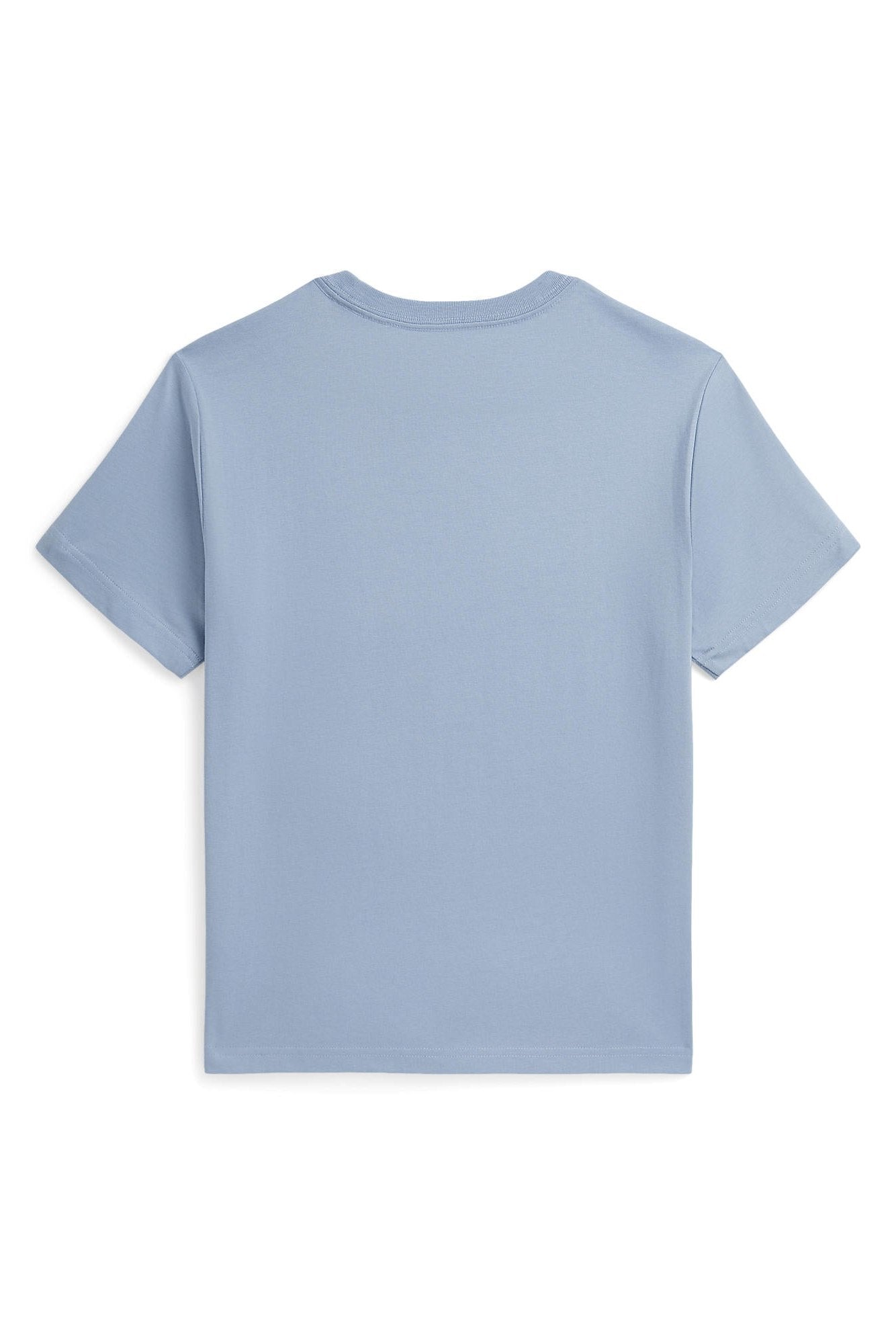 Polo Ralph Lauren Boys Jersey-Knit State Graphic T-Shirt_ 323A12260002