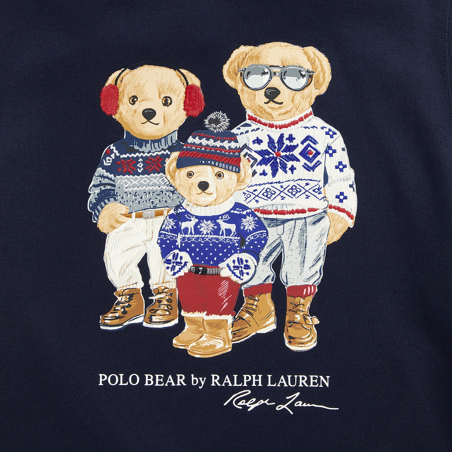 Ralph Lauren Boys Polo Bear Family Fleece Hoodie