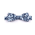 Appaman Bowtie - NorthBoys