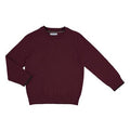 Mayoral Mini Boys Burgundy Crew Neck Sweater - NorthBoys