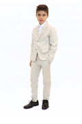 Noralee Sebastian Linen 2 Piece Suit-NorthBoys