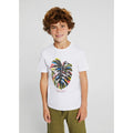 Nukutavake Boys T-Shirt 2 Piece Set _Green 6011 - 54 - NorthBoys