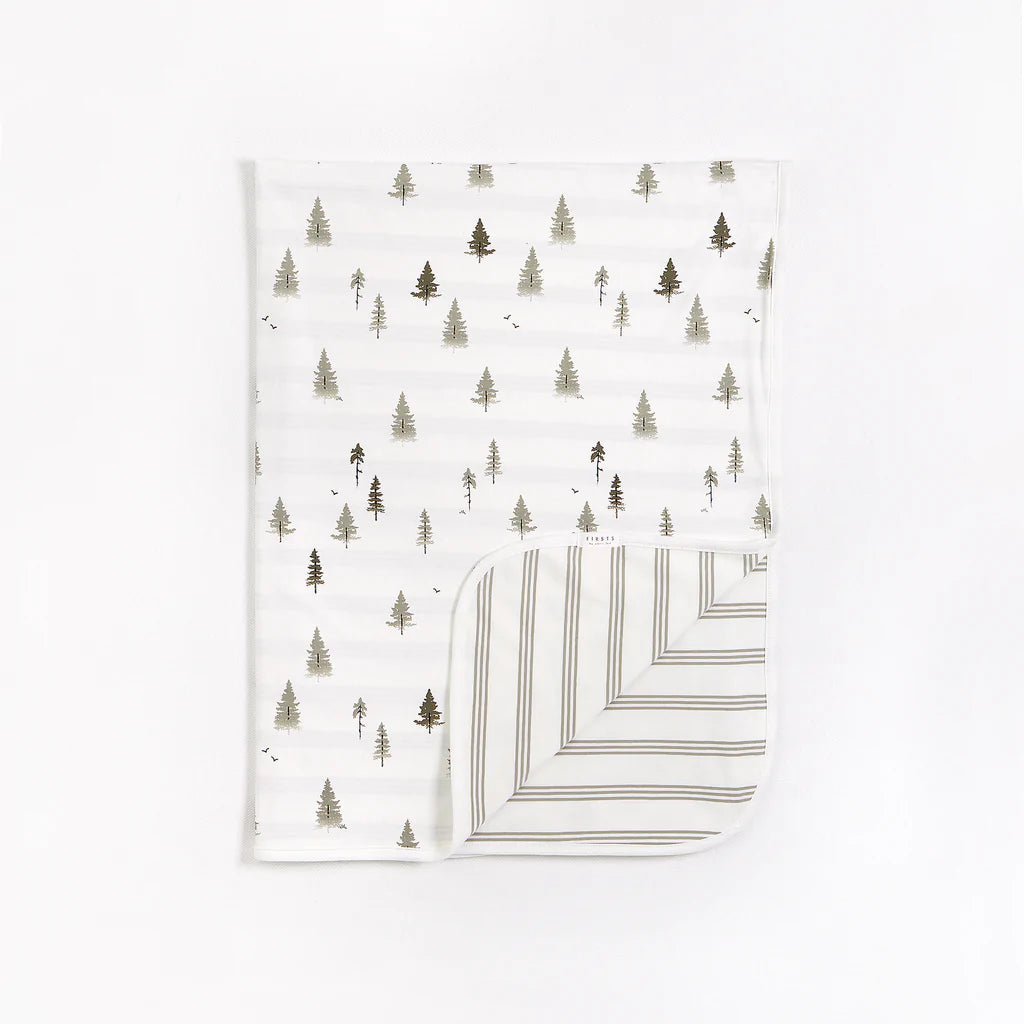 Petit Lem Baby Reversible Dyed Stripe Jersey Blanket _Green 22FRG24908 - 800 - NorthBoys