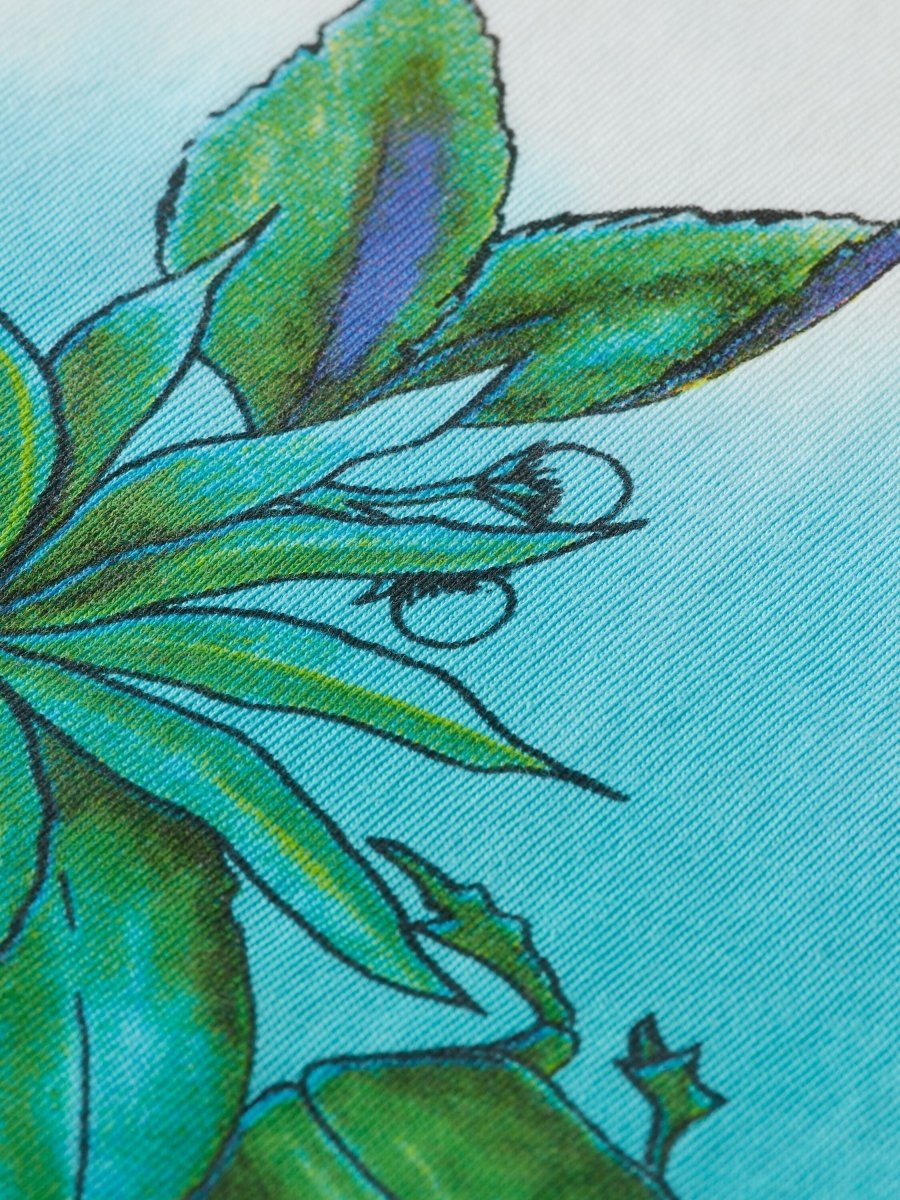 Scotch & Soda Boys Dip Dye T-Shirt_Off White 170542 - 0001 - NorthBoys