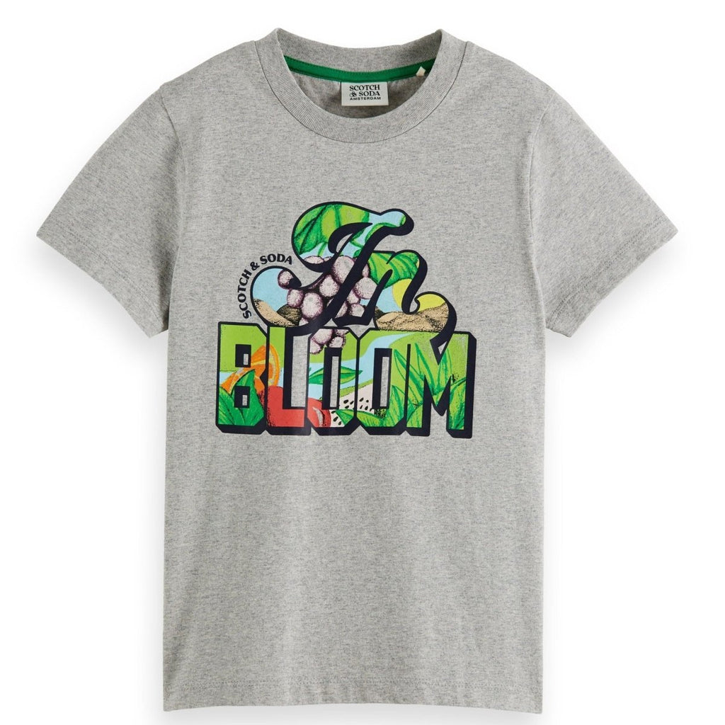 Scotch & Soda Boys T-Shirt_Grey 170537 - 0606 - NorthBoys