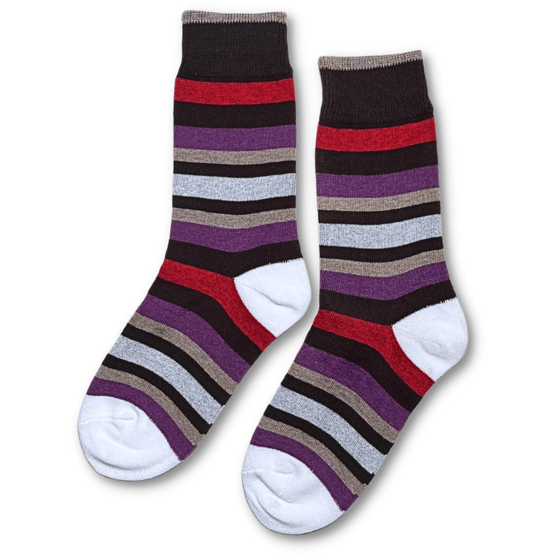 Vannucci Boys Striped Brown/Purple Socks _SS1210 - NorthBoys